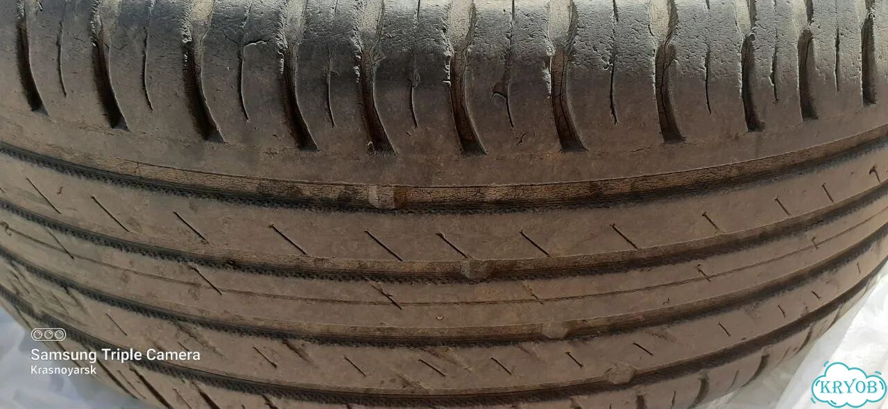 Nokian Tyres Nordman SX2 205/55 R16 фото 3