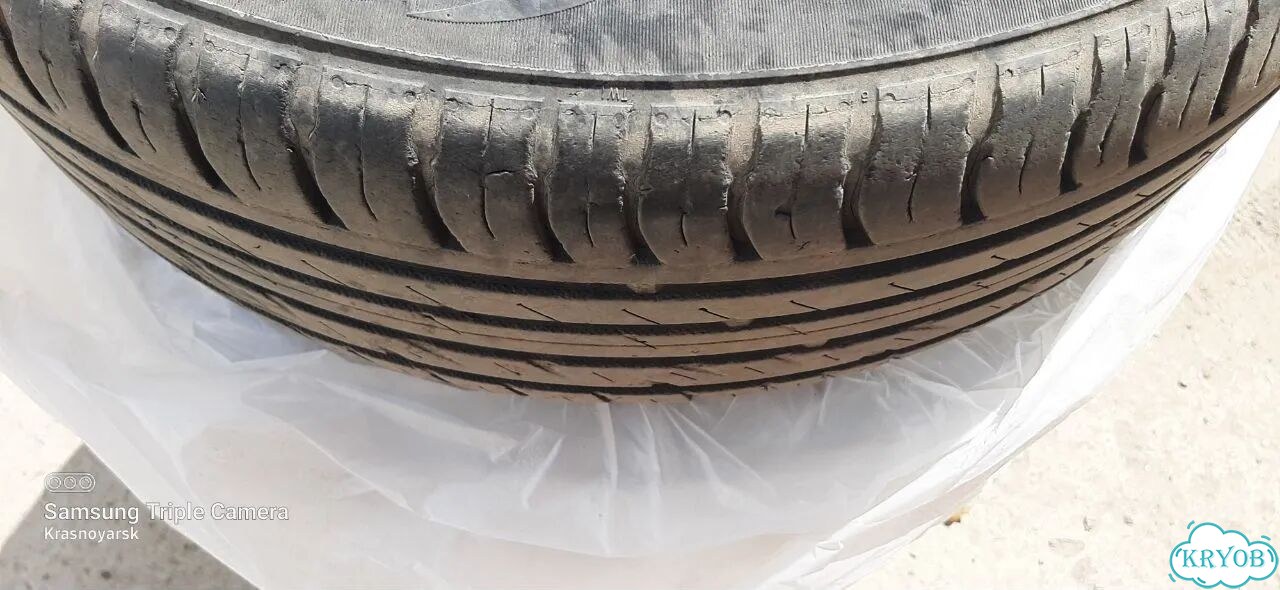 Nokian Tyres Nordman SX2 205/55 R16 фото 6