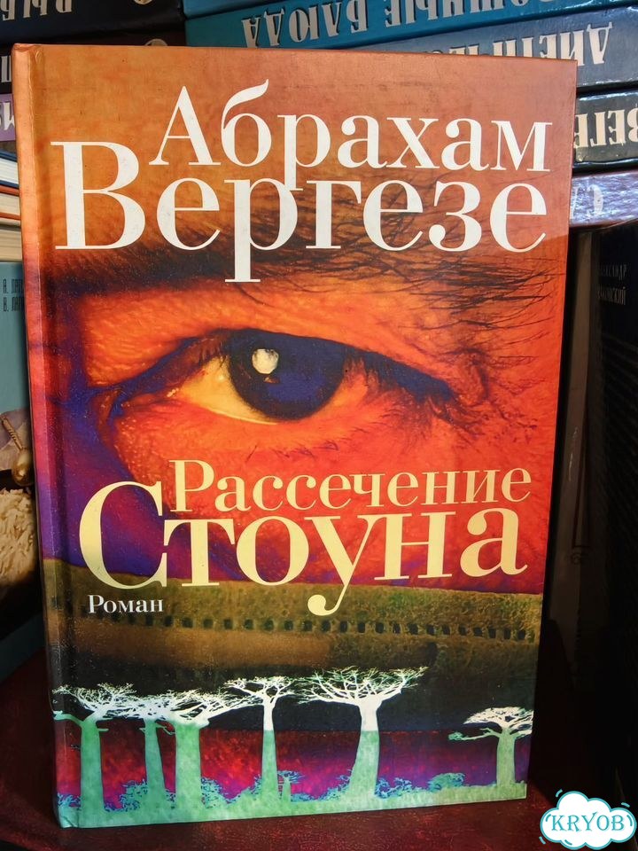 Роман Вергезе фото 1