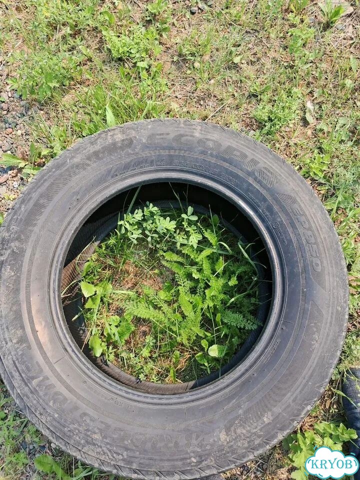Bridgestone Ecopia EP850 285/60 R18 фото 1
