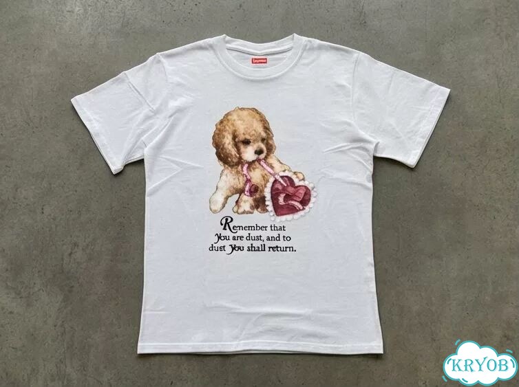 Футболка белая Supreme Remember that DAC0019 streetwear vintage фото 1