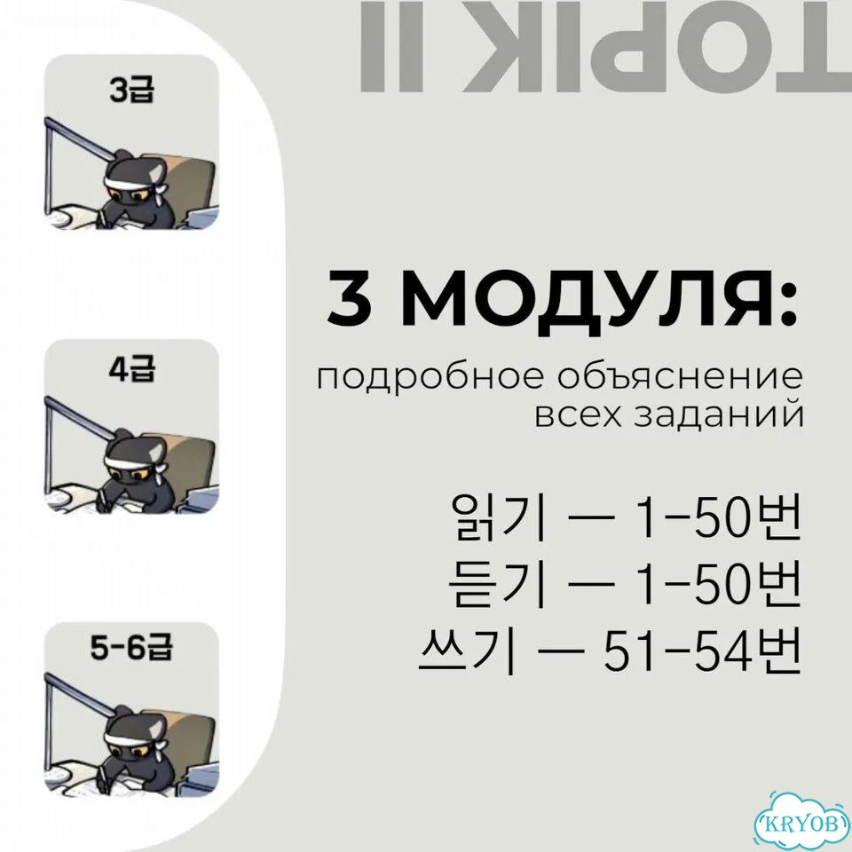 Курс по подготовке к Topik 2 на Edvibe фото 2