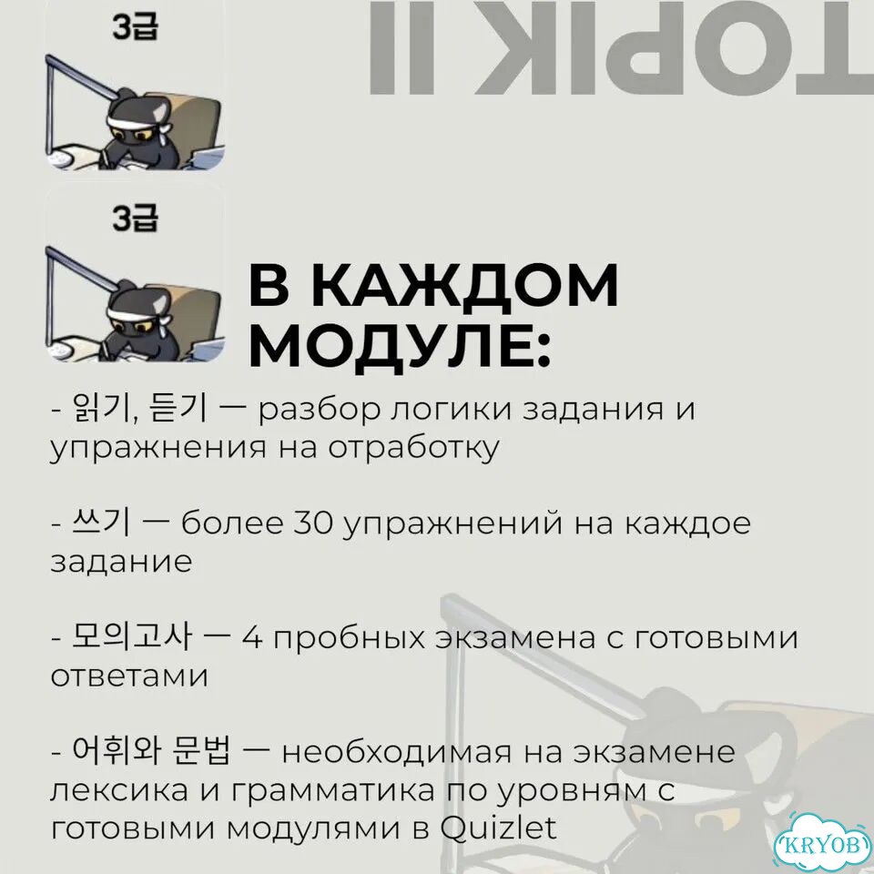 Курс по подготовке к Topik 2 на Edvibe фото 3