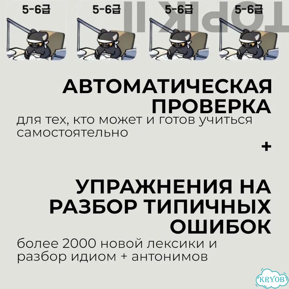 Курс по подготовке к Topik 2 на Edvibe фото 6