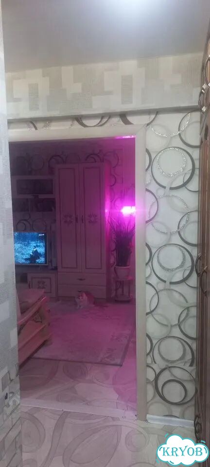1-к. квартира, 31 м², 2/5 эт. фото 17