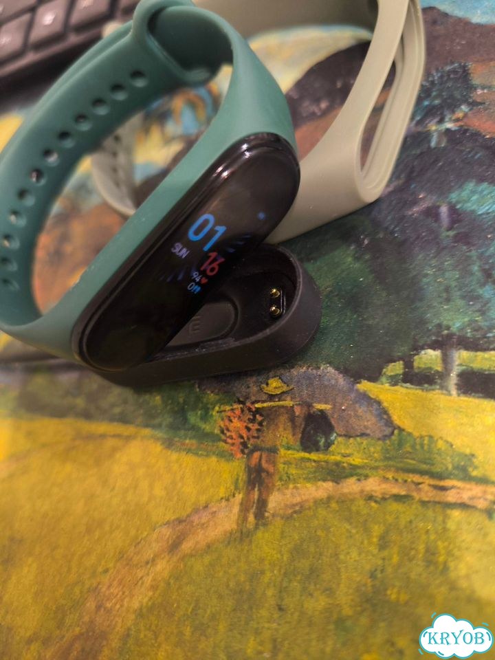 Фитнес-браслет mi SMART band 4 полный комплект фото 1