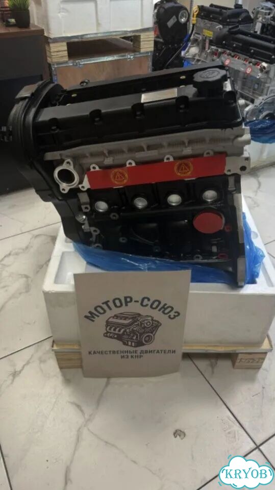 Двигатель новый F16D3 Chevrolet Aveo фото 4