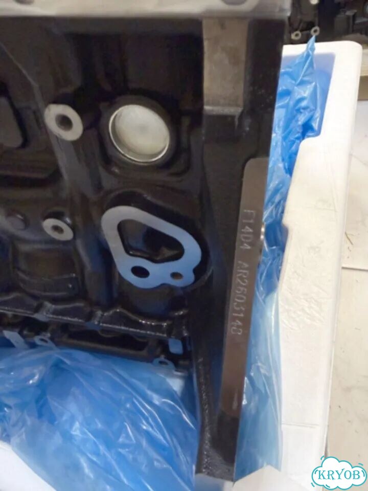 Двигатель новый F14D4 1.4 Chevrolet Aveo фото 5