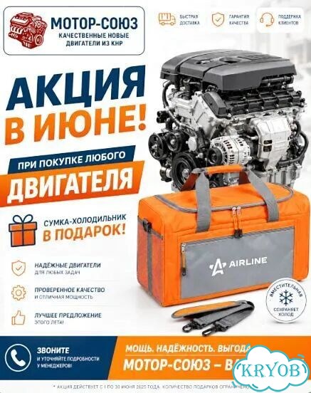 Двигатель новый SQR481FC Chery фото 11