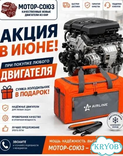 Двигатель новый SQR480ED Chery фото 10