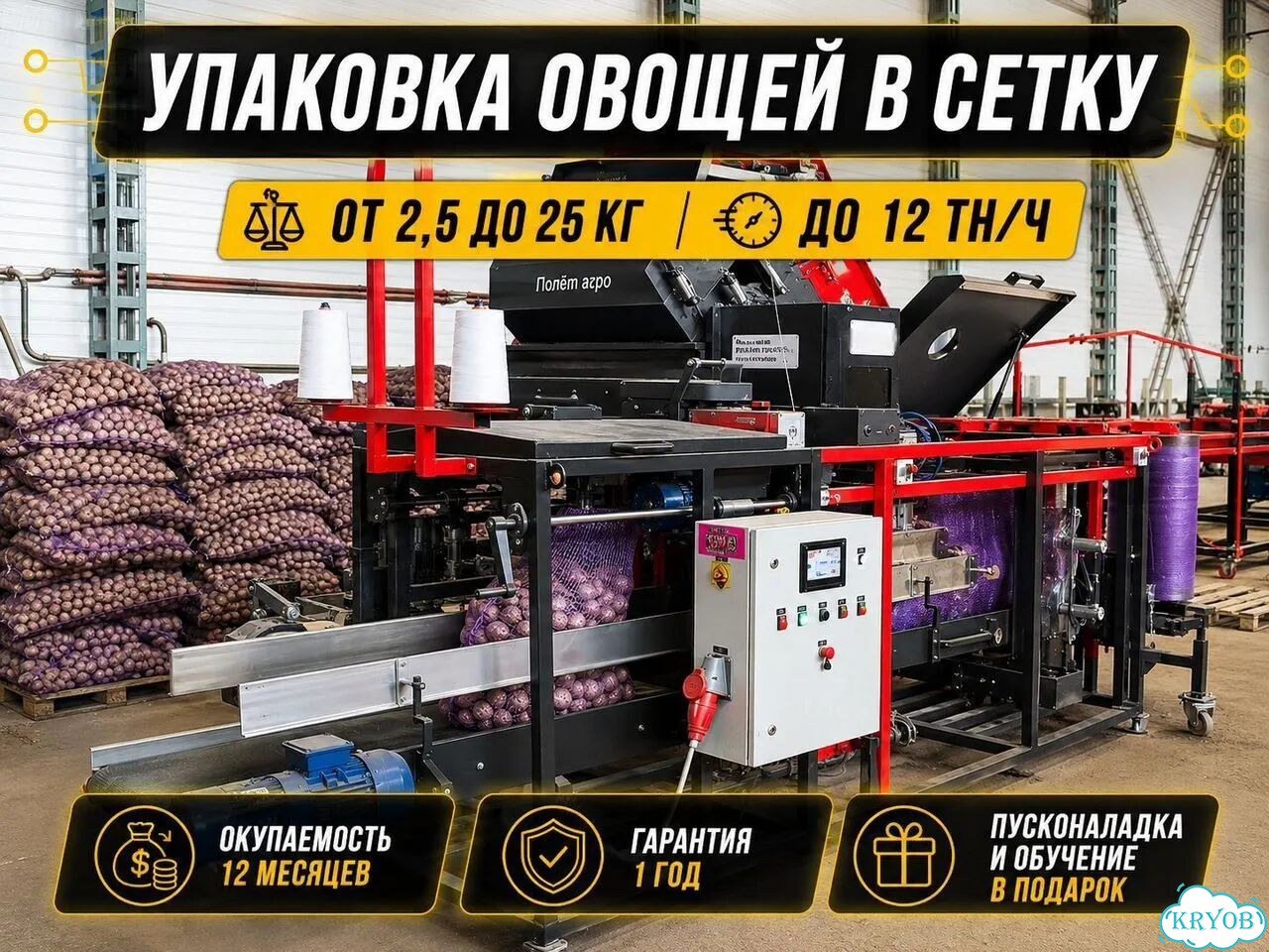 Автоматическая линия фасовки и упаковки овощей фото 1