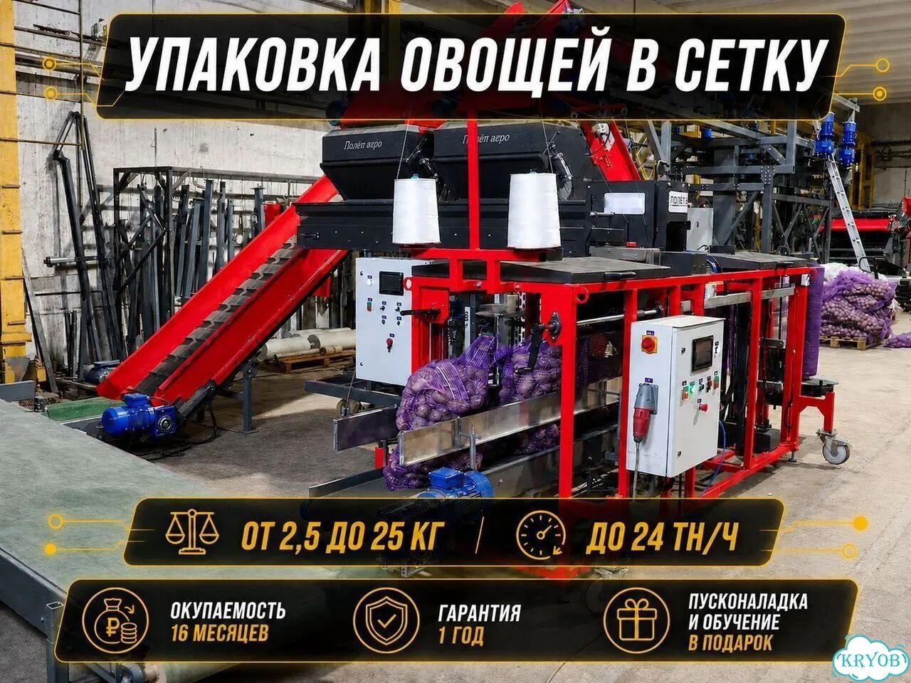 Линия фасовки и упаковки овощей до 24 тн/ч фото 1