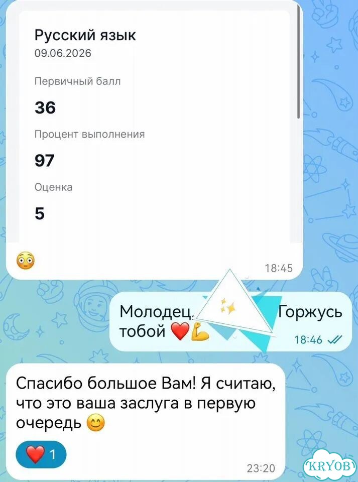 Репетитор по русскому языку подготовка к ОГЭ фото 3