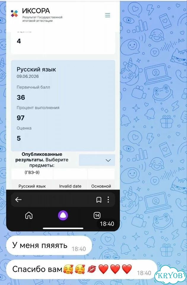 Репетитор по русскому языку подготовка к ОГЭ фото 5
