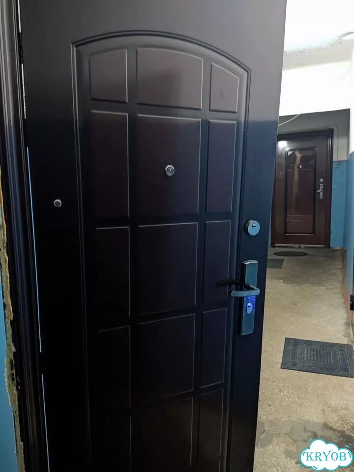 Дверь входная железная бу фото 3