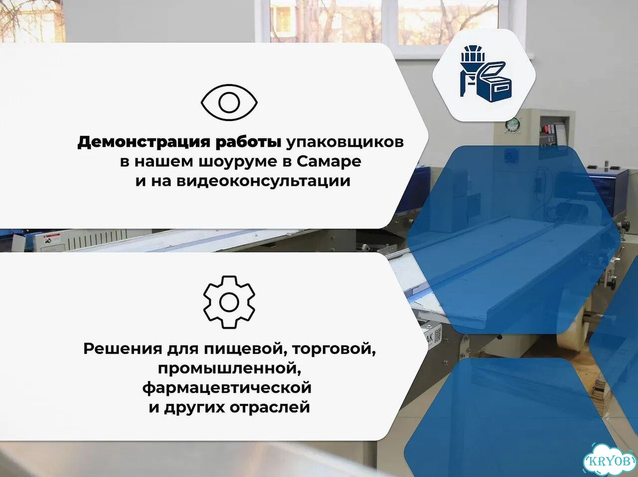 Контрольно-динамические весы с отбраковщиком (чеквейер) Роспак рсв-450 / В наличии на складах фото 6