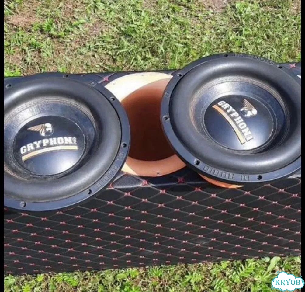 Dl audio gryphon pro 12 v2 фото 1
