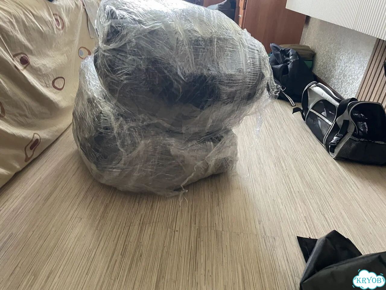 Одежда фото 2