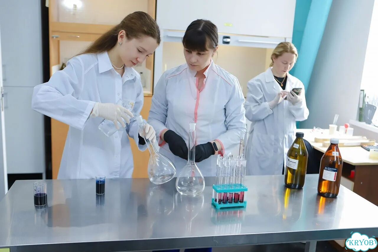 Специальная Оценка Условий Труда, Проведение Соут фото 5