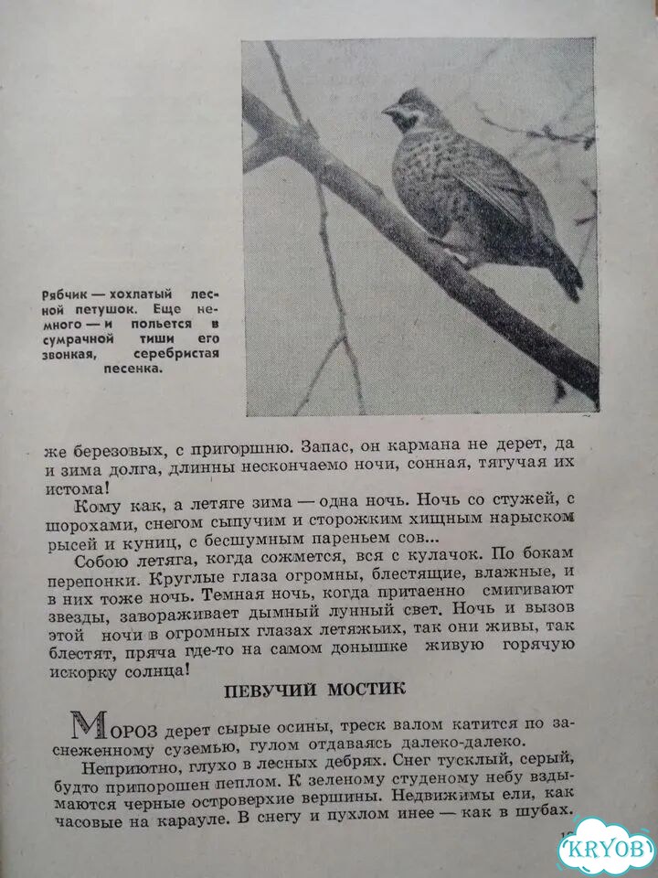 Детские книги о природе, растениях,животных фото 5