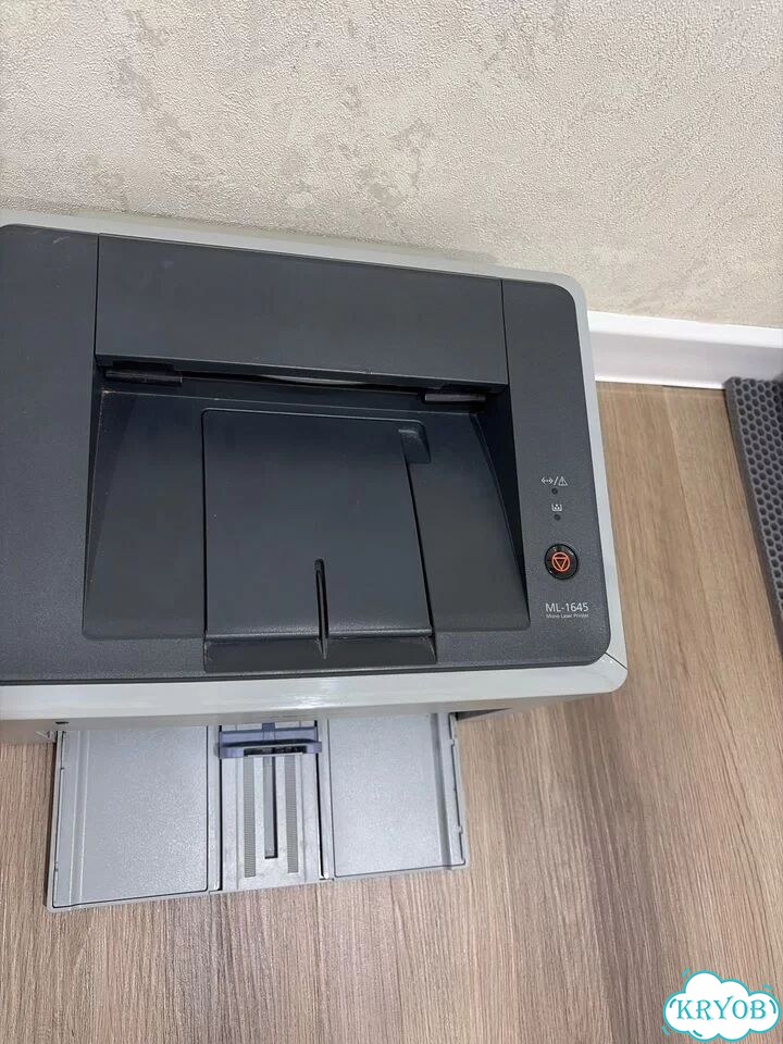 Принтер samsung ml 1645 фото 3