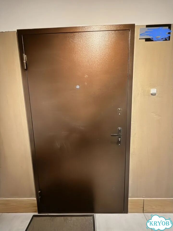 Дверь входная бу забронировано до вечера фото 1