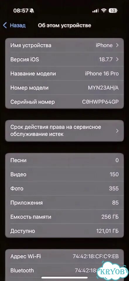 iPhone 16, 256 ГБ, SIM + eSIM фото 3