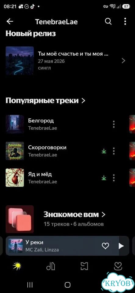 Песня на заказ по вашей истории фото 1