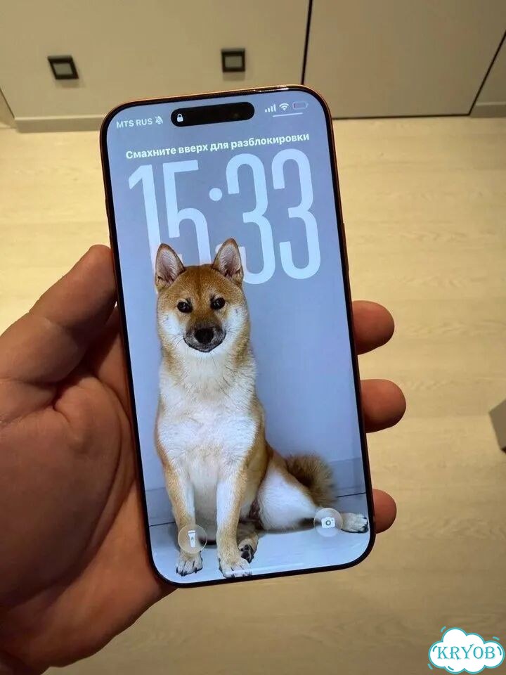 iPhone 17 Pro Max, 256 ГБ, eSIM фото 1