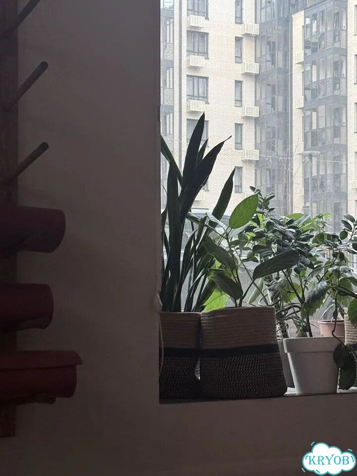 Абонемент в Zen Yoga фото 2