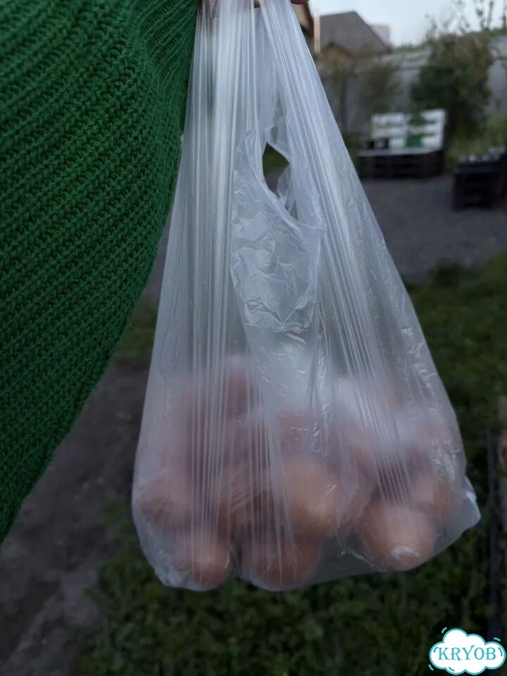 Домашние куриные яйца фото 2