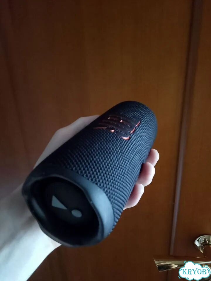 Колонка jbl flip 6 оригинал фото 1