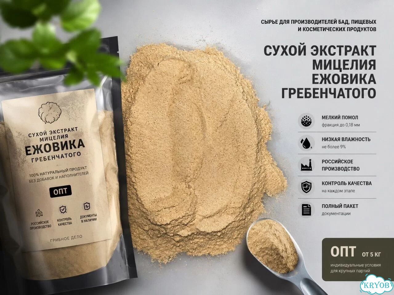 Ежовик гребенчатый (сухой экстракт мицелия) опт фото 1