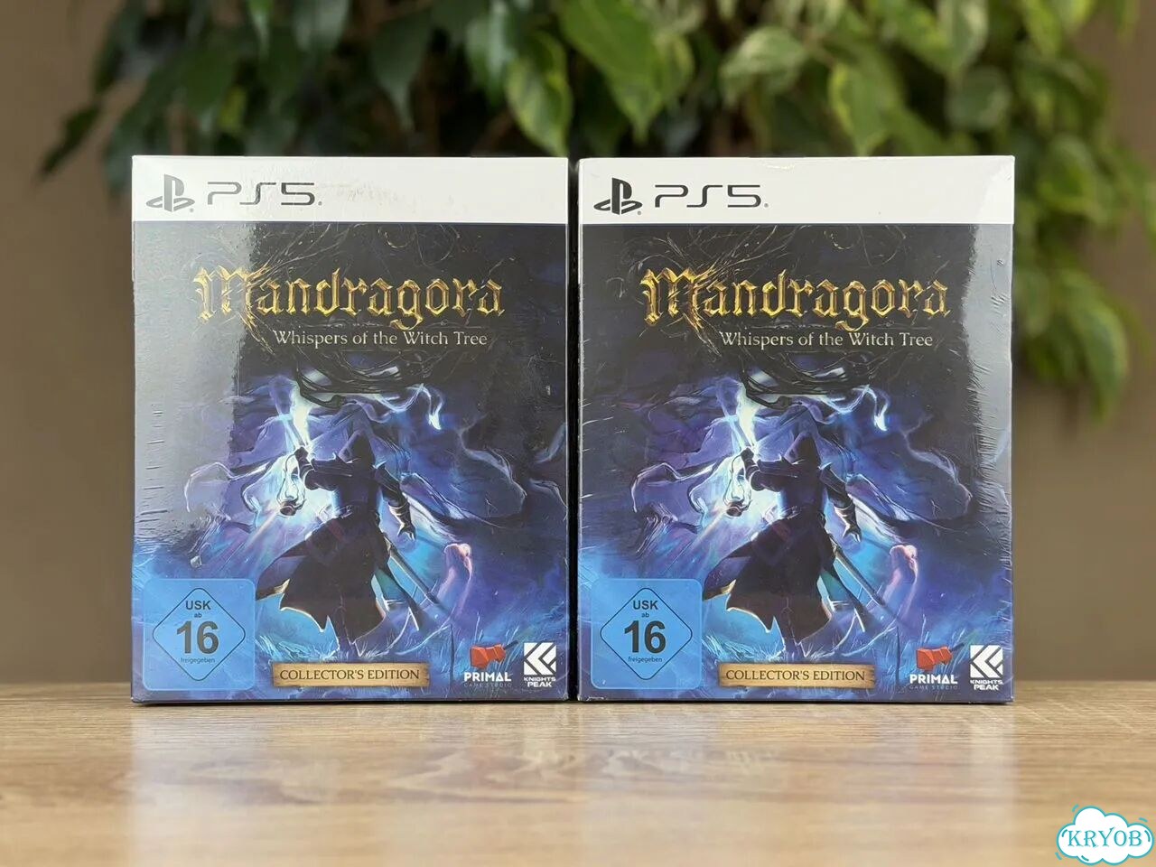 Mandragora Whispers Of Witch Tree Collectors PS5 фото 1