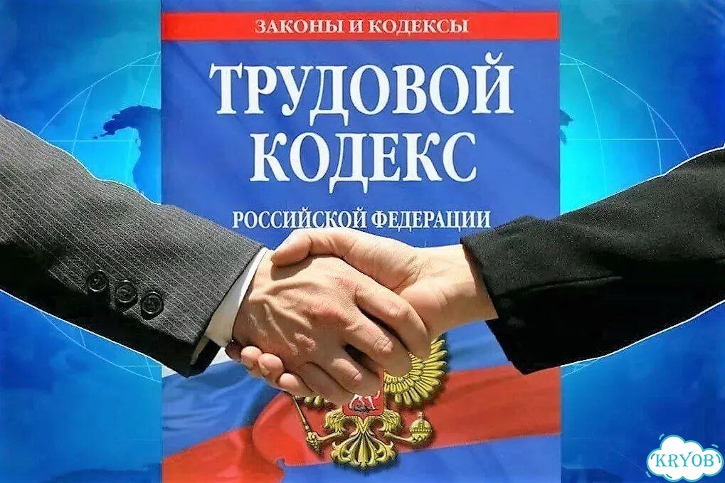 Эксперт (юрист) по трудовому праву/трудовым спорам фото 1