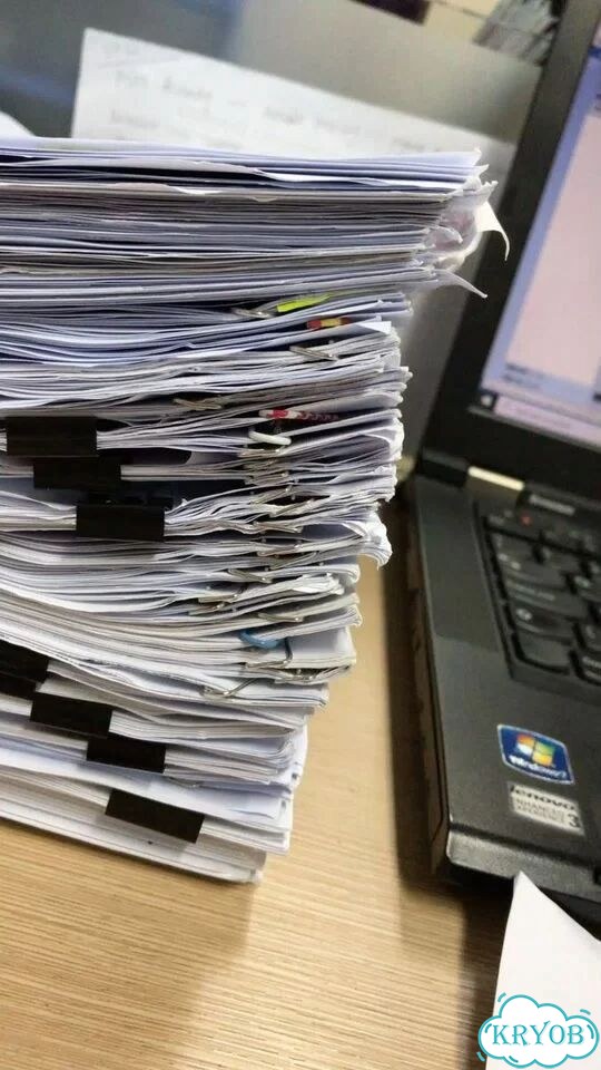 Помощь в оформлении документов для любых инстанций фото 5