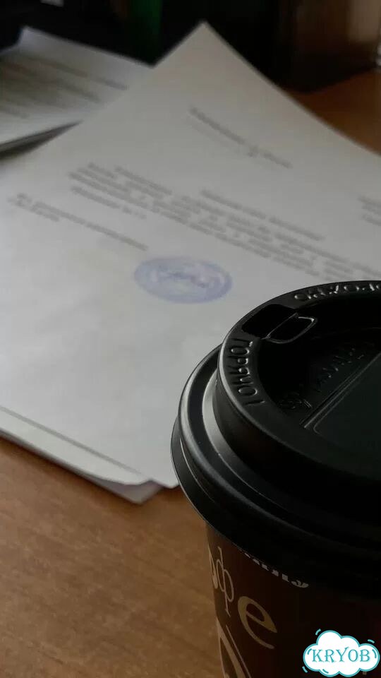 Помощь в оформлении документов для любых инстанций фото 9