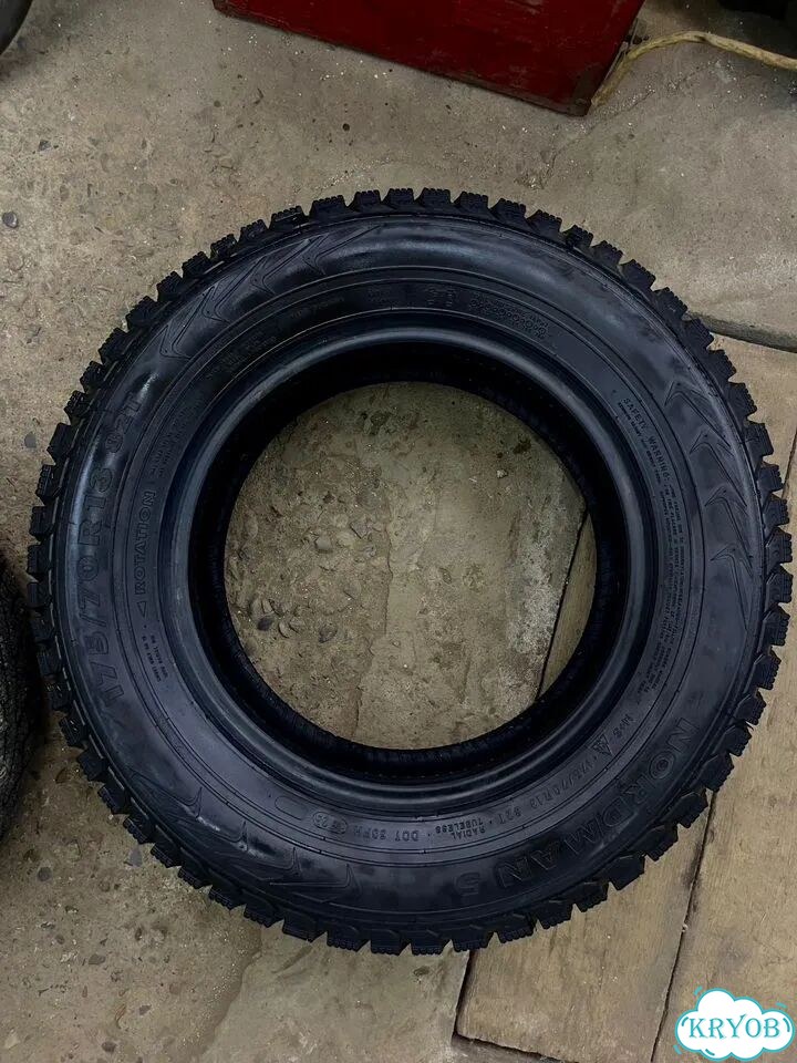 Nordman 5 175/70 R13 фото 4