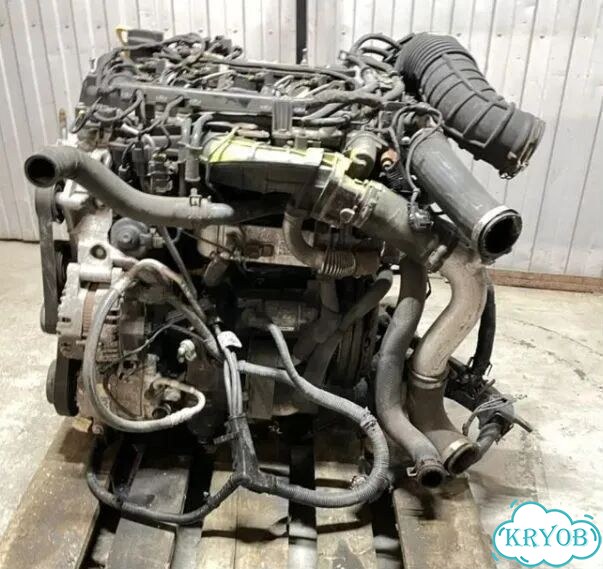 Прокладка ГБЦMitsubishi L200 1005D178 mitsubishi фото 3