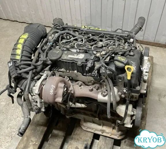 Прокладка ГБЦMitsubishi L200 1005D178 mitsubishi фото 4