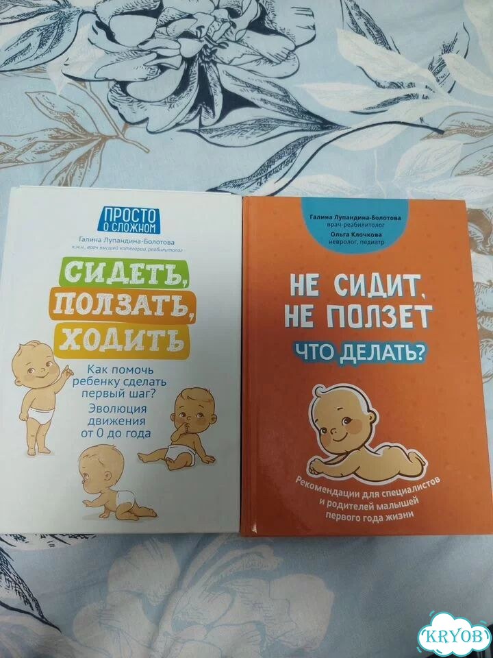 Книги Галина Лупандина-Бол сидеть, ползать, ходить фото 1