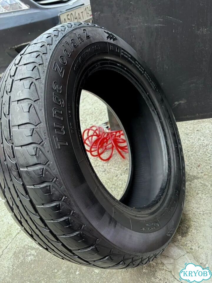 Tunga Zodiak 2 185/65 R14 фото 2