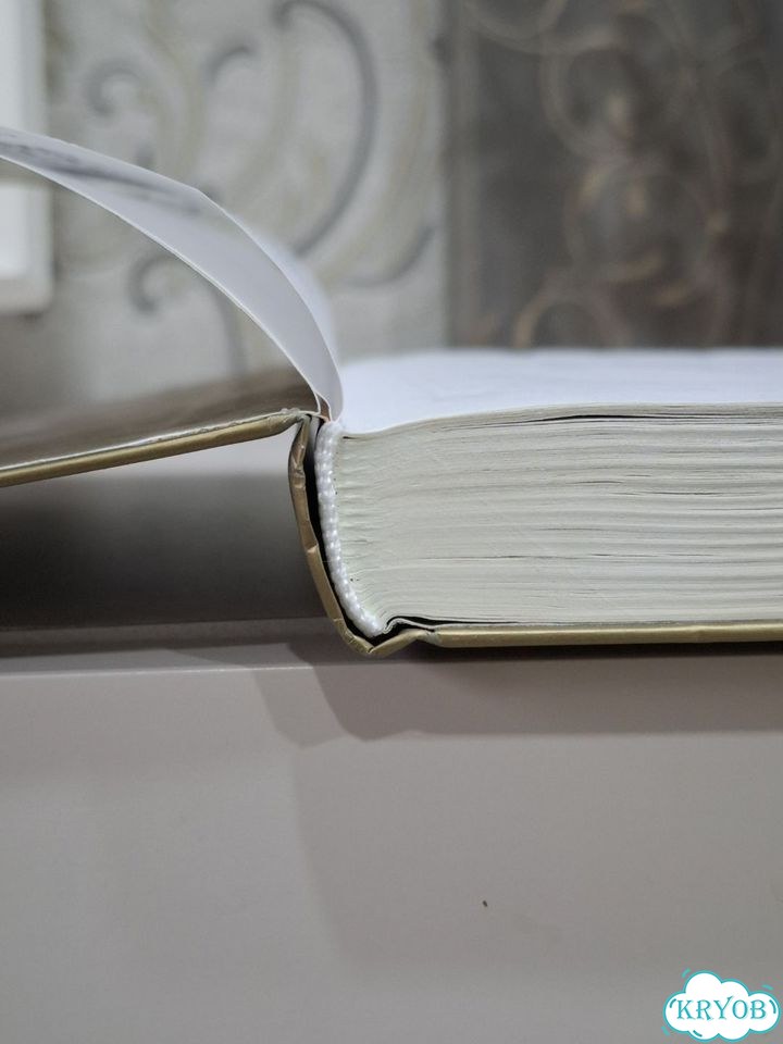 Книга Филип Пулман — Тень «Полярной звезды» фото 8