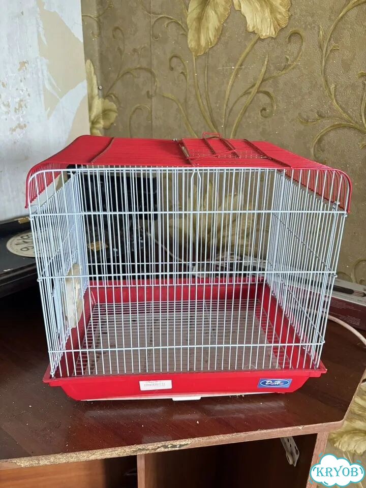 Клетка для грызунов фото 1