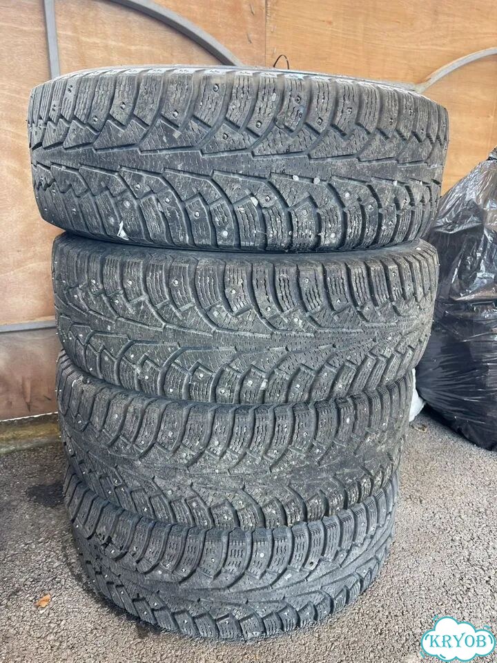Nokian Tyres Hakkapeliitta 5 195/65 R15 фото 1