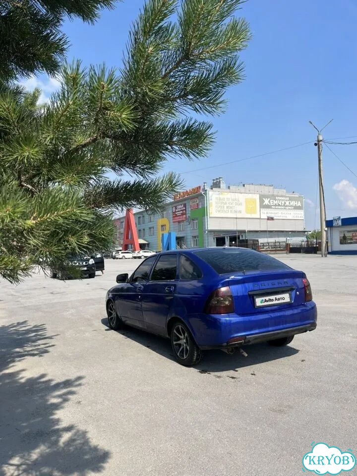 ВАЗ (LADA) Priora 1.6 MT, 2010, 249 359 км фото 10