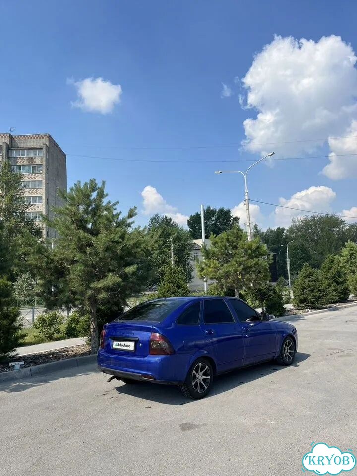 ВАЗ (LADA) Priora 1.6 MT, 2010, 249 359 км фото 8