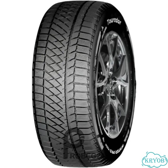 Tourador Winter Pro Max 205/50 R17 V фото 1