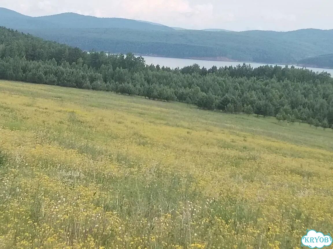 Участок 70 га (СНТ, ДНП) фото 3