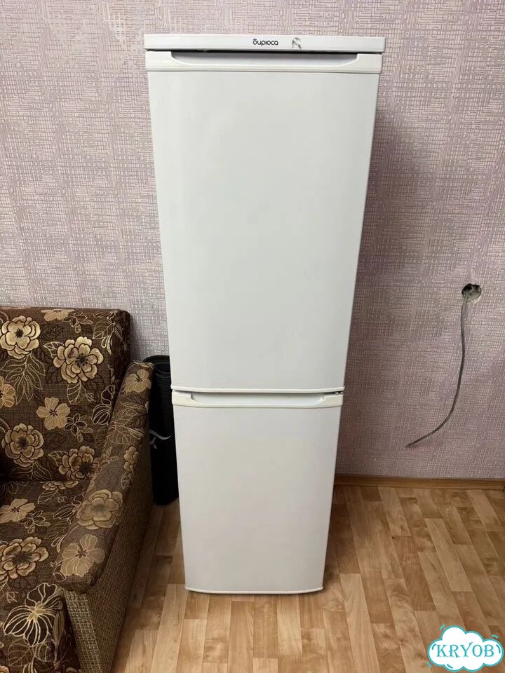 Холодильник Бирюса 120 фото 1